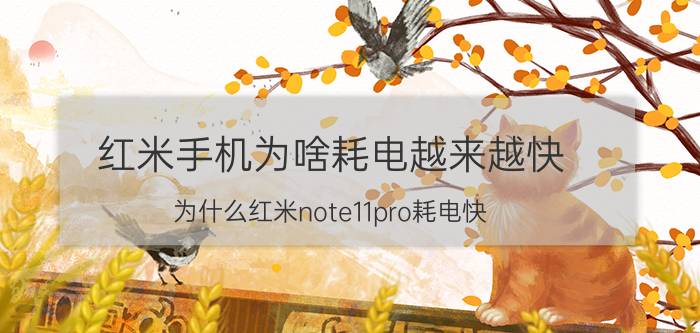 红米手机为啥耗电越来越快 为什么红米note11pro耗电快？